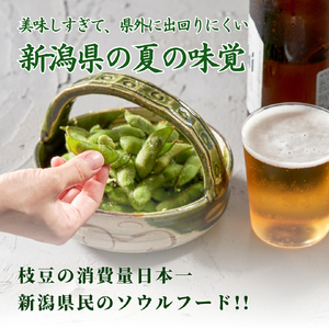 【令和8年産 先行予約】 新潟 枝豆 えだまめ 弥彦村特産 伊彌彦ちゃまめ 1.5kg(250g×6袋) | 茶豆