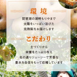 完熟採り　もりやま梨（豊水）3キロ～3.5キロ【先行予約】 CW-0002