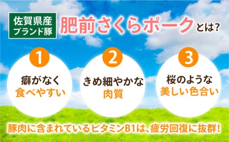 【12回定期便】＜毎日のお料理に便利に使える♪＞肥前さくらポーク こま切れ 1kg (500g × 2パック) 佐賀県産 国産豚肉 小間 小分け 吉野ヶ里町/アスタラビスタ[FAM031]