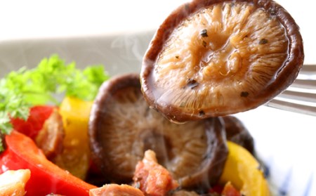 大分県産 特選どんこ 200g （乾しいたけ）FT20