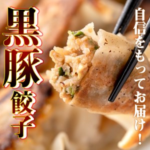 isa390 地元で人気のラーメン屋さんの黒豚生餃子！(計72個・12個入り×6P)鹿児島 手作り 生餃子 ギョウザ 黒豚 豚肉 冷凍食品 おかず おつまみ 惣菜 小分け 焼くだけ 簡単調理 冷凍便 ぎょうざ ギョーザ 加工品 おかず【らーめん処力】