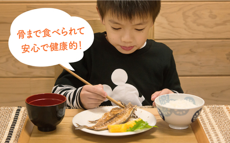 【全3回定期便】 骨まで食べられる アジの開き [JBD018] アジ