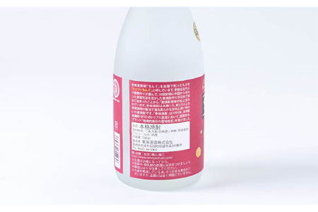 【全12回定期便】重家酒造 サブロック 720ml2本組 [JCG089] 焼酎 麦焼酎 むぎ焼酎 本格焼酎 酒 お酒 セット 36度 ハイボール  240000 240000円