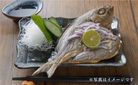 【全3回定期便】壱岐美食の海の幸セット [JBU018] 干物 刺身 アジ イカ カマス 42000 42000円