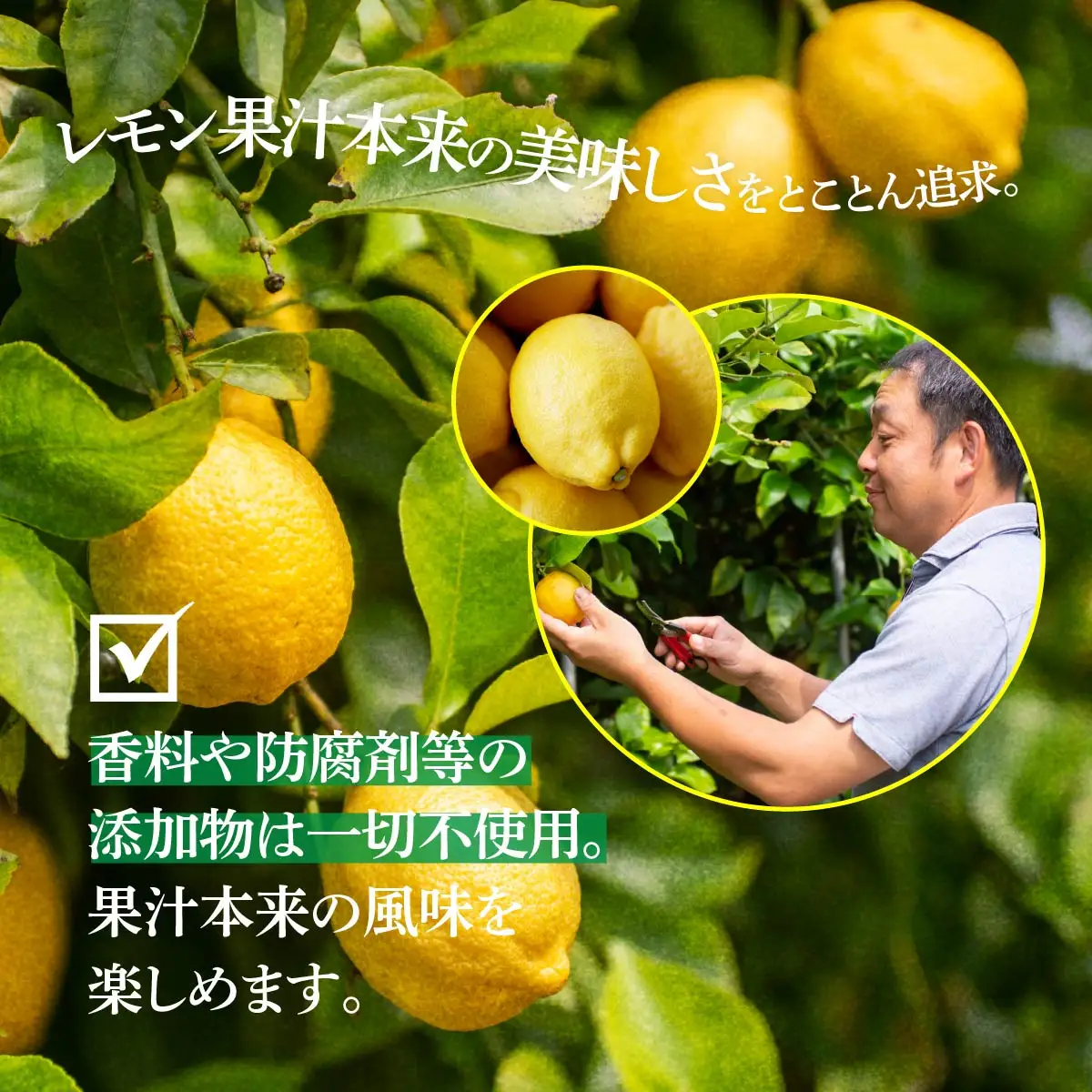 青いレモンの島　レモン果汁　150ml×6本
