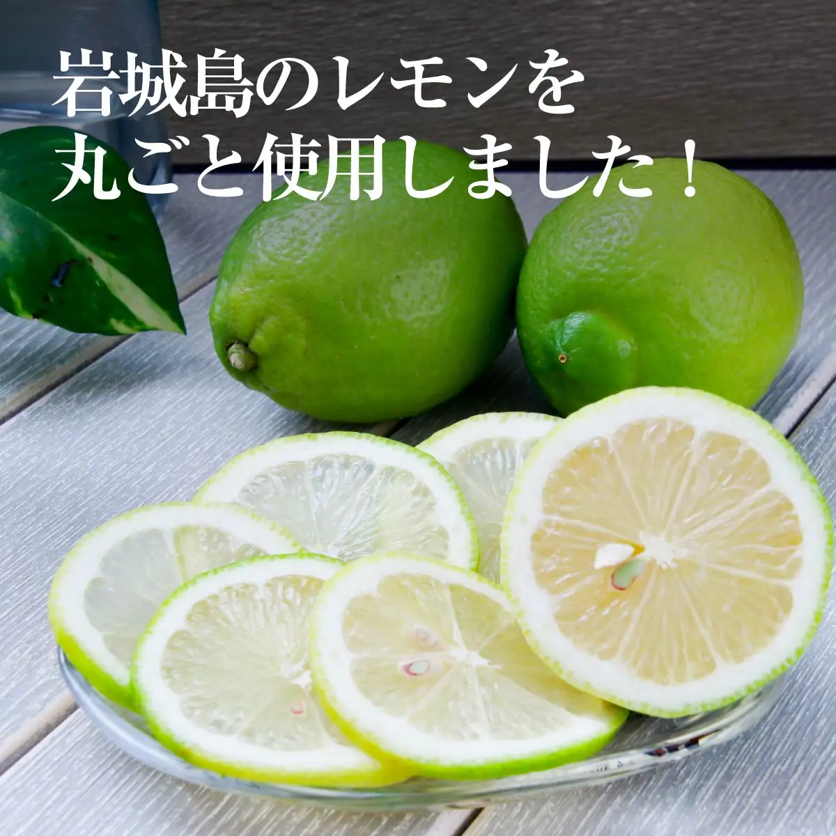 もぎたてレモン(粉末清涼飲料)10袋セット