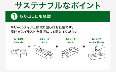 ネピア　ネピecoティシュ200組　5箱×12パック