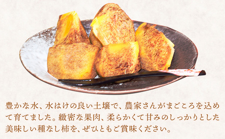 紀の川柿たっぷり 約3.6kg 秀品