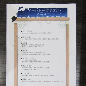 イーハトーヴ野菜B 満足セット 9品～ 詰め合わせ【1203】