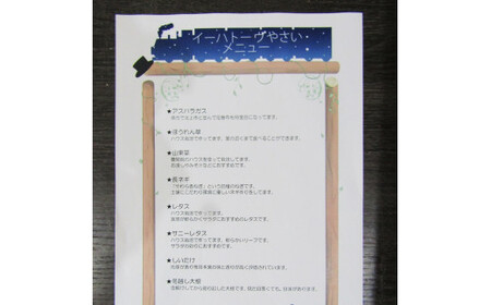  【定期便３ヶ月】イーハトーヴ野菜B 満足セット 9品～ 詰め合わせ【1204】