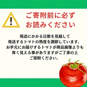 【旬な時期にお届け♪7月下旬より随時配送】内藤おじちゃんが育てる採れたて新鮮な童仙房高原トマト2kgセット◎エコファーマー認定者◎京都府南山城村産 野菜 夏野菜 リコピン サラダ 緑黄色野菜 