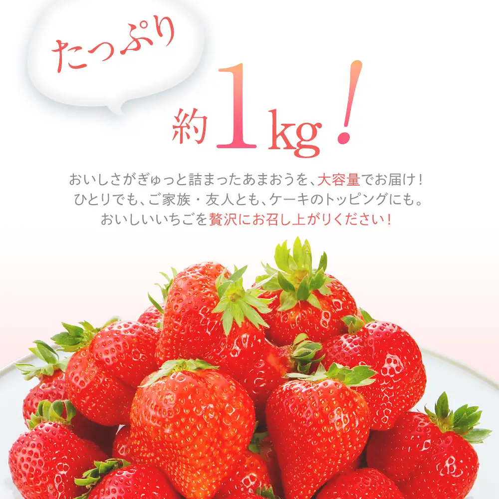 先行予約 あまおう 合計約1kg 約250g×4パック あまおう  【2027年2月～3月順次発送予定】