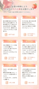 桃 和歌山の桃(5～8玉入り)【2026年6月中旬頃から8月上旬頃発送予定】【mat101D】
