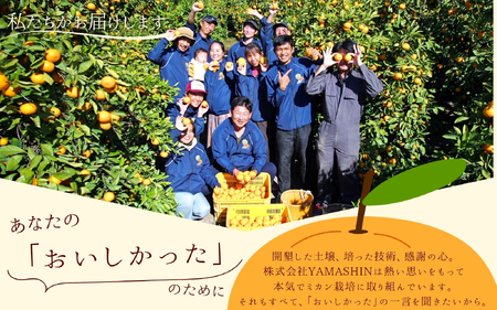 【2026年9月~発送】みかん 極早生みかん 約7.5kg(サイズ混合)【nuk136E】