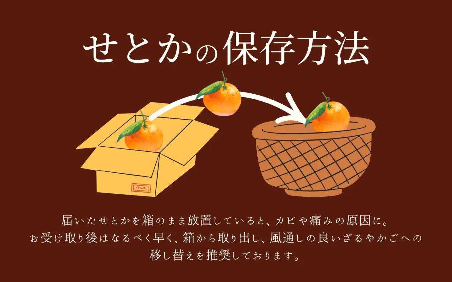 みかん 【とろける食感】せとか【予約】約5kg【uot748A】