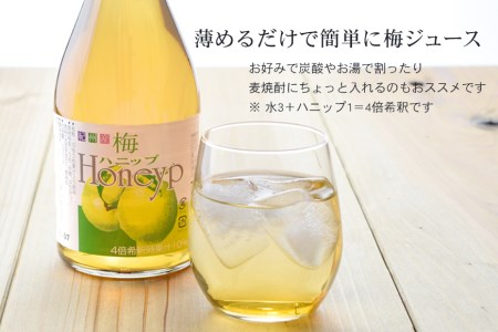 希釈用梅ドリンク 梅ハニップ 完熟梅ハニップ 各3本セット 【prm022B】