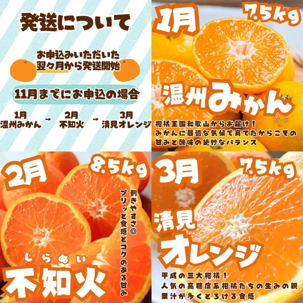 みかん 定期便 訳あり×たっぷり 温州みかん 不知火 清見オレンジ【tkb113】