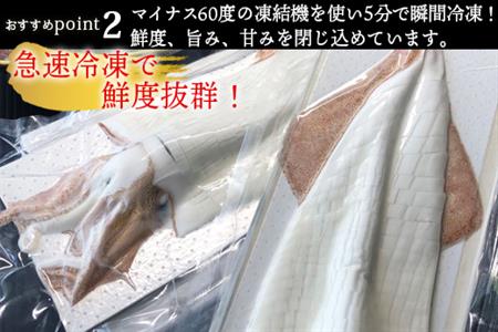 『先行予約』呼子のいか活造り1杯(360g前後) 特大サイズ コリコリ甘い鮮度抜群の透明感! 刺身 ギフト 冷凍※水揚げあり次第5月以降順次発送させていただきます。