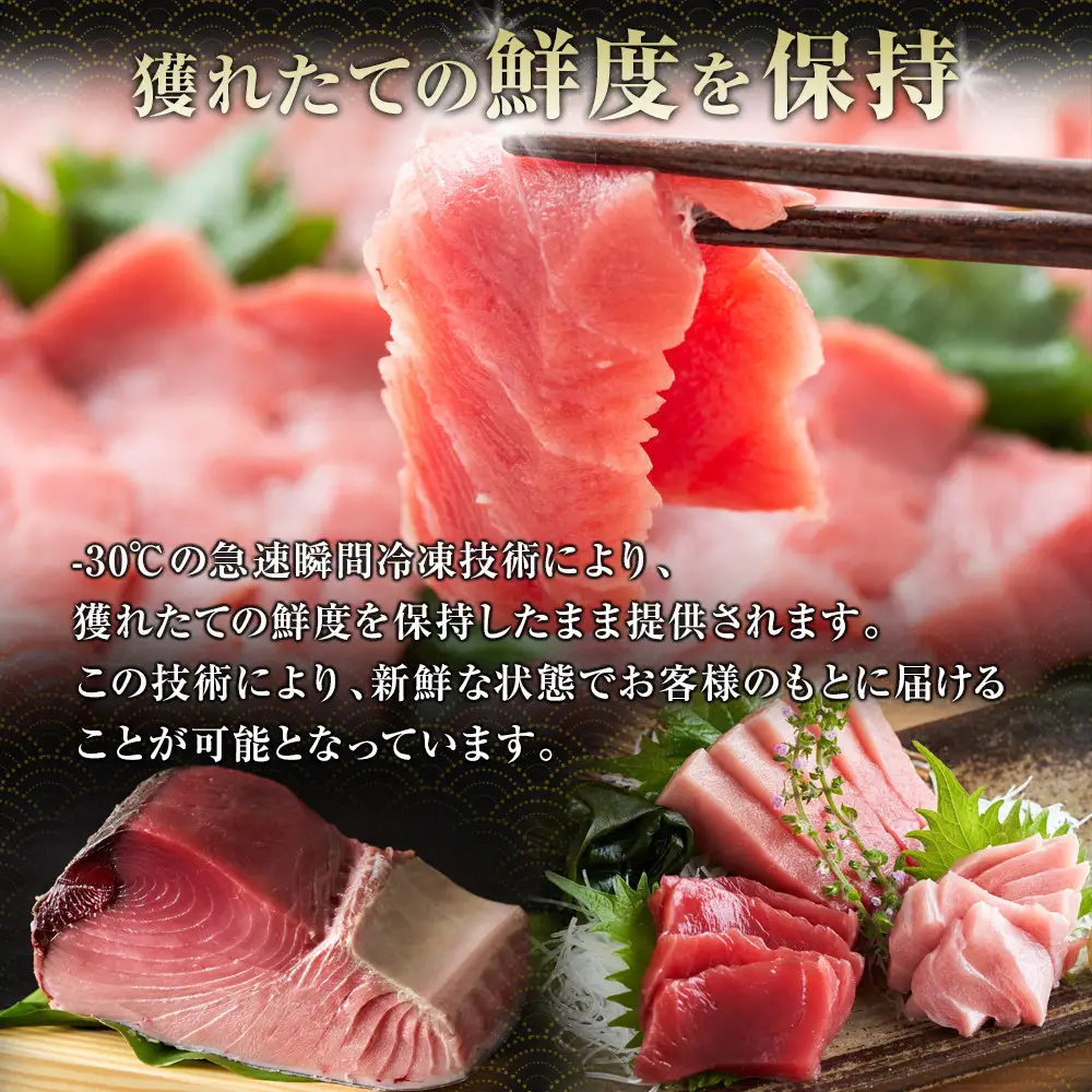 鹿児島県奄美大島産高級食材『黒いダイヤ』黒マグロ　Cセット