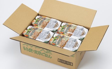 【城北麺工】スーパー大麦 もち麦・玄米ごはん 24個 FY25-873