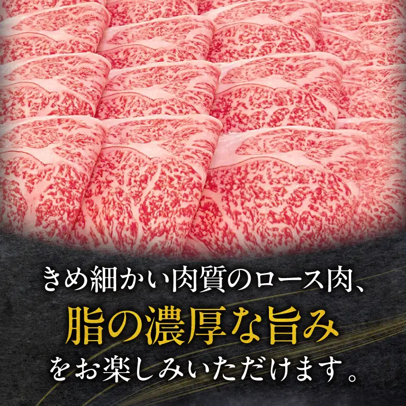 牛肉 スライス 牛肉[宮崎牛 ロース しゃぶしゃぶ 800g]