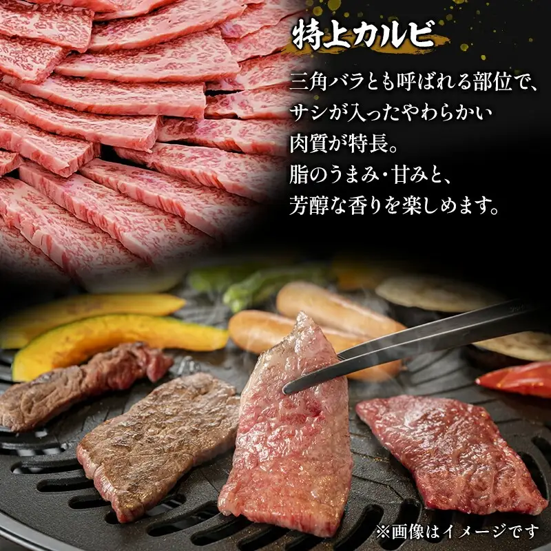 牛肉 カルビ焼肉 牛肉[宮崎牛 三角バラ 600g]