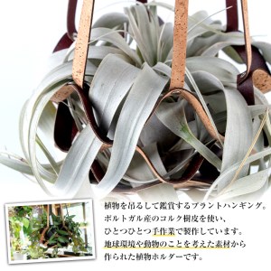 i616 コルクレザーハンギング(植物なし)地球環境や動物に配慮した素材で作られたプラントハンガー！ プラントハンガー 吊り下げ 観葉植物 エアプランツ 地球環境 グリーン インテリア 癒しの空間 植物ホルダー おしゃれ空間 ギフト 贈り物【kurk PLANT LEATHER】