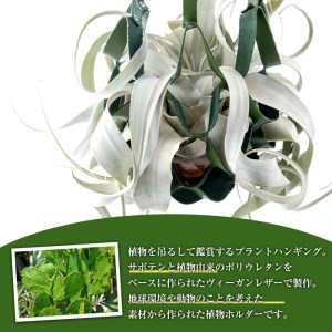 i619 サボテンレザーハンギング(グリーン・植物なし)地球環境や動物に配慮した素材で作られたプラントハンガー！プラントハンガー 吊り下げ 観葉植物 エアプランツ 地球環境 グリーン インテリア 癒しの空間 植物ホルダー おしゃれ空間 ギフト 贈り物【kurk PLANT LEATHER】