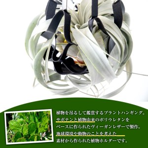 i624 サボテンレザーハンギング(ブラック・植物なし)地球環境や動物に配慮した素材で作られたプラントハンガー！プラントハンガー 吊り下げ 観葉植物 エアプランツ 地球環境 グリーン インテリア 癒しの空間 植物ホルダー おしゃれ空間 ギフト 贈り物【kurk PLANT LEATHER】