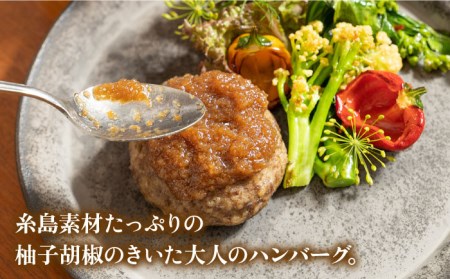 【お中元対象】フレンチの名店とコラボした糸島ハンバーグとカレーのセット 糸島市 / itoshimacco《（株）やました》 [ARJ041]