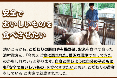 ワイルド塊BBQセット 計1450g 清村養豚 