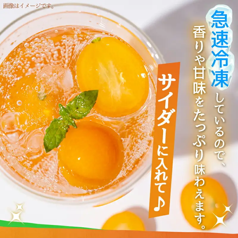 天然のシャーベット! 丸かじり氷結きんかん〔AA-B502〕_(都城市) 都城産 完熟きんかん きんかん 冷凍きんかん 急速冷凍