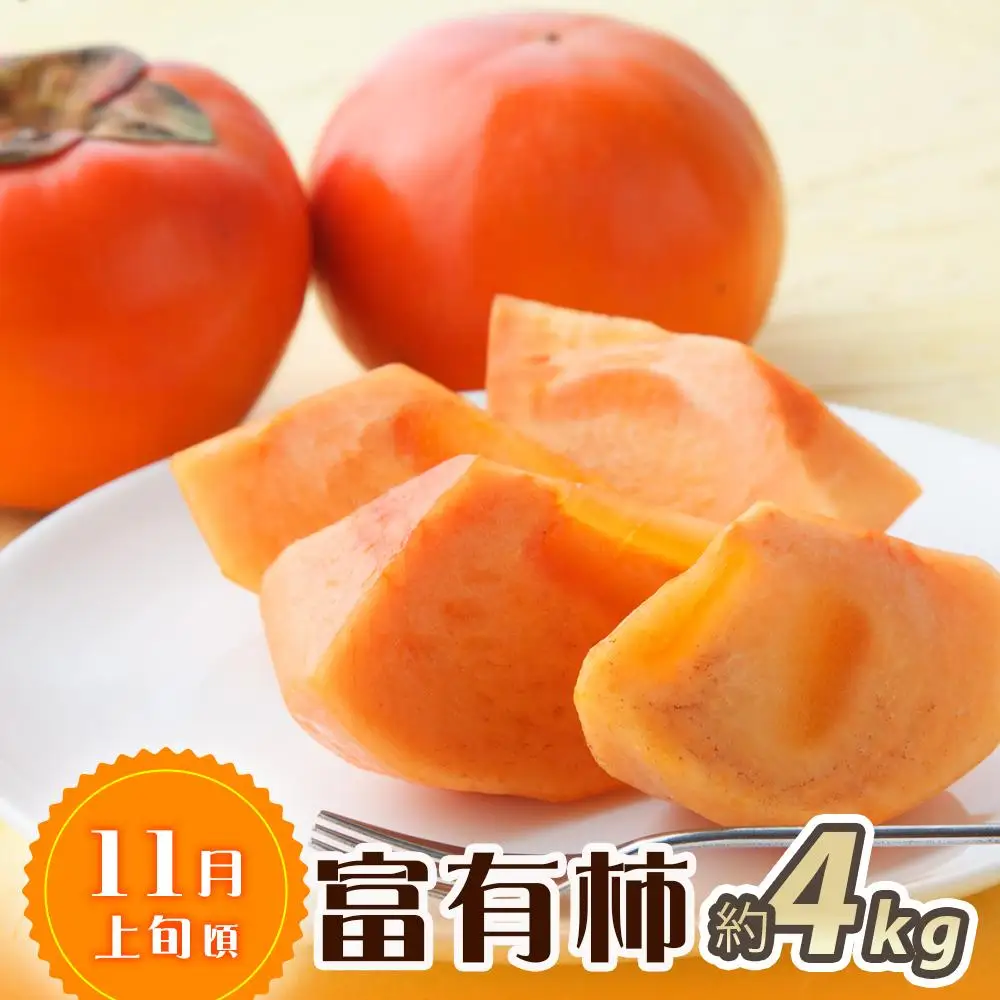 【魚鶴商店厳選】和歌山人気のフルーツ定期便（柿・みかん）【定期便全3回】【UT115】