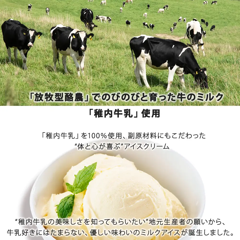 【 業務用 】 稚内牛乳 アイスクリーム バニラ (2L) と 出汁之介 ホッケ燻製スティック【配送不可地域：離島・沖縄県】