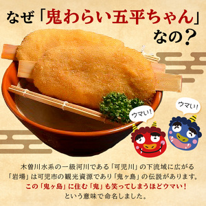 鬼わらい五平ちゃん　10本セット【0021-002】岐阜県 可児市 郷土食 五平餅 美濃ハツシモ 一等米使用 里芋 胡桃ダレ 揚げる五平餅 正盛 オリジナル商品