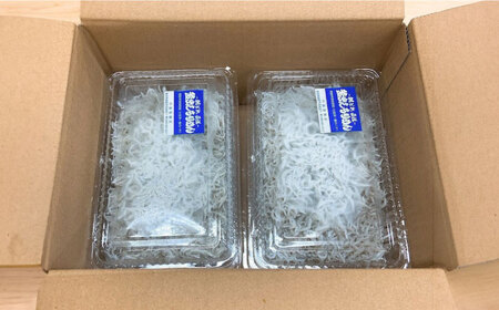 釜揚げしらす 約1.2kg (約300g×4袋) 浜で瞬時に釜出し 高知のしらす 【グレイジア株式会社】 [ATAC080]