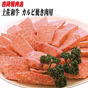 土佐和牛カルビ (焼肉用) 約500g 【グレイジア株式会社】 [ATAC023]