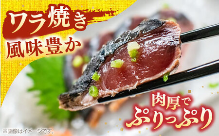 【最速発送】完全ワラ焼き鰹タタキ「龍馬タタキ」2節 / 鰹 高知かつお かつおたたき かつおのタタキ [ATAM003]