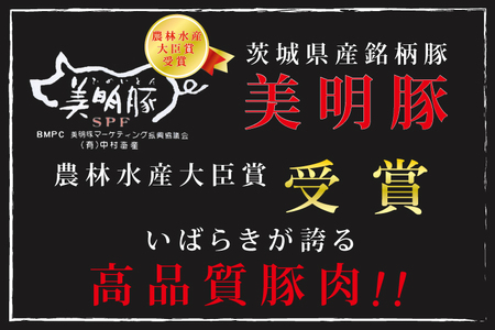 DT-20【美明豚】味噌漬け500g（ロース200g・ヒレ300ｇ）