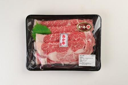 牛肉 【12ヶ月定期便】あか牛 すきやき しゃぶしゃぶ用サーロイン肉1kg(500g×2)、馬刺し200g(赤身100g、霜降り50g、たてがみ50g)セット 国産牛肉 熊本県産牛肉 厳選牛肉 ヘルシー牛肉 