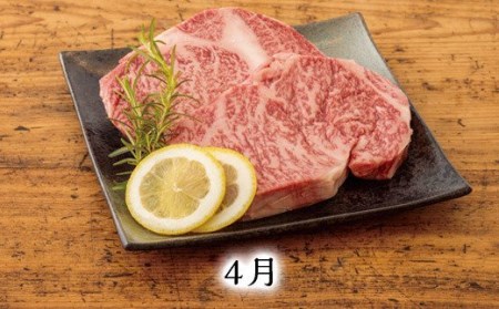 【定期便】宮崎牛たかはる定期便Z（6回　偶数月発送）　TF0402-P00020