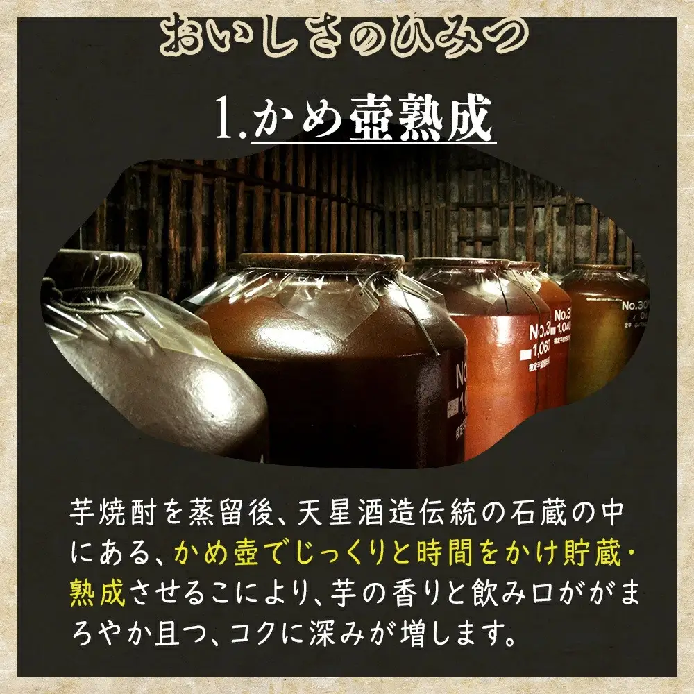 かめ壺熟成限定焼酎「呑酔楽」（てんすいらく）720ml×12本
