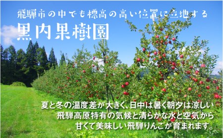 飛騨リンゴを使っておいしさを凝縮したぎゅっとりんごジュース すりおろし4本セット果汁 100% 黒内果樹園 ギフト 熨斗掛け ジュース ギフト 無添加 贈答[Q1386]