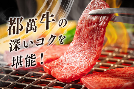 黒毛和牛＜都萬牛＞焼肉 300g×2パック 計600g【C383-2603】