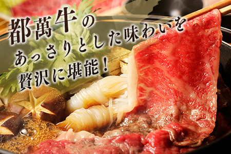 黒毛和牛＜都萬牛＞ロースすきしゃぶ 300g×2パック 計600g すきやき しゃぶしゃぶ【C384-2603】