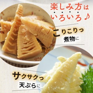 たけのこ水煮 200g×10袋 計2kg 国産  小分け パック 簡単調理 常温 グルメ 食品 食べ物 野菜 山の幸 山菜 株式会社大久保商店 宮崎県 延岡市 お取り寄せ 送料無料 N067-YA766