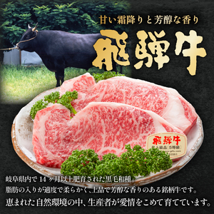 【定期便】飛騨牛ステーキ食べ比べセット 【0016-057】 牛肉 国産 ﾌﾞﾗﾝﾄﾞ 和牛 霜降り やわらか ｽﾃｰｷ ﾘﾌﾞﾛｰｽ ﾋﾚ ｻｰﾛｲﾝ　