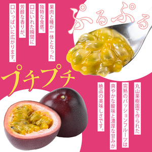 【A68002】期間限定 鹿児島県産 パッションフルーツ 約2.2kg 12玉入り2箱【丸山果樹園】