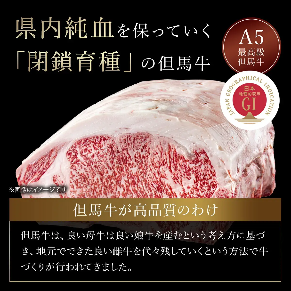 神戸牛もも･但馬牛肩ロースセット【500g×2】タレ付（ぽん酢、胡麻タレ、わりした） AS14K15