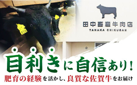 佐賀牛赤身スライス500g HBH057 赤身 スライス 佐賀牛 国産